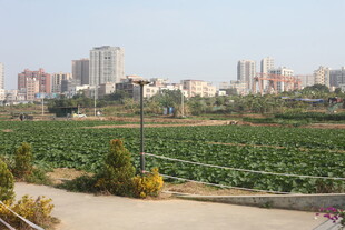 城郊田园与城市建筑景观