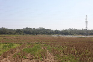 田野风光 远处有输电塔