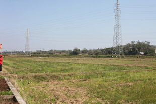 田野边的电力设施场景
