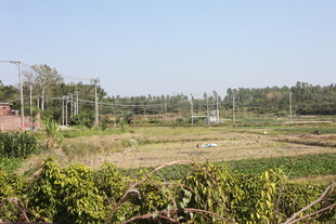 田园风光田野景色