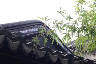 中式屋檐旁的翠绿竹子