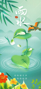 雨水时节荷塘清新景象