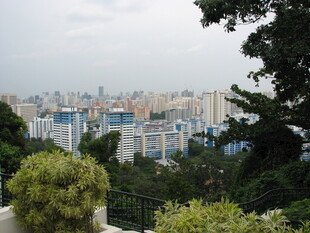 城市远景与绿植景观