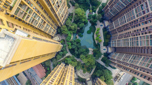 俯瞰城市楼宇间的绿意