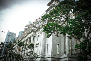 古典建筑旁的葱郁绿树