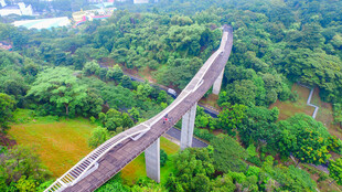 高空俯瞰山林中的高架桥