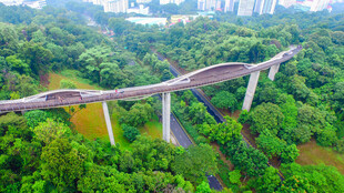 高架穿行绿意间