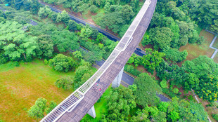 高空俯瞰跨林高架桥