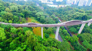 空中栈道穿梭于翠绿山林