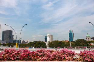城市繁花景 高楼伴蓝天
