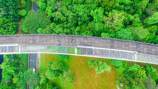俯瞰青山绿水间的桥梁