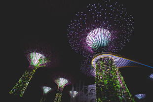 新加坡滨海湾夜景灯光秀