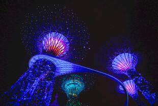 梦幻水母灯光秀