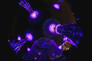 梦幻紫色灯光艺术装置