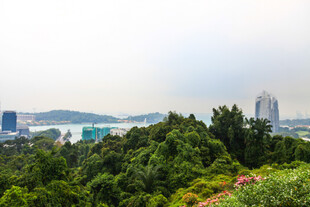 山林间远眺城市与水域景观