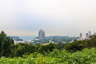 城市远景与绿意景观