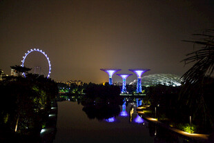 城市夜景中的摩天轮与建筑
