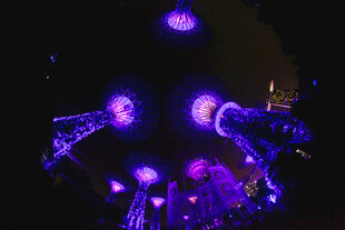 紫色灯光下的梦幻水母景观