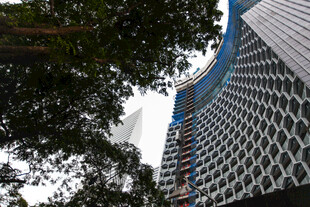 高楼与绿树相映成趣