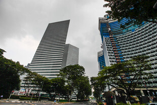 现代都市高楼与绿树景观