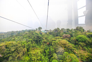高空俯瞰茂密丛林景观