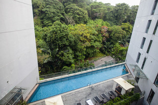 高层视角下的泳池与绿植