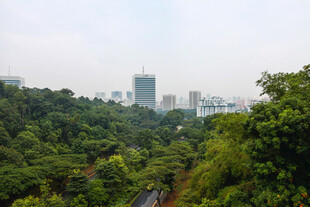山林间远眺城市天际线