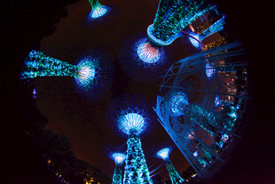 璀璨圣诞树夜景灯光秀