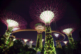 新加坡滨海湾超级树夜景