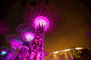 新加坡滨海湾夜景灯光树