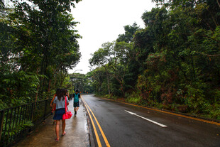 林间小道上的徒步旅行者