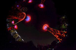 璀璨摩天轮夜景