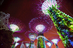 新加坡滨海湾夜景灯光秀