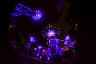 梦幻紫色灯光艺术装置