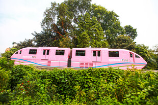 粉色列车穿梭于绿植间