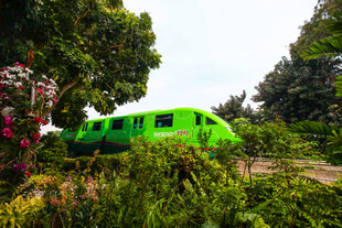 绿色列车穿行于繁茂绿植间