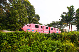粉色列车穿行于绿植间