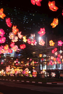 璀璨花灯点亮迷人夜景