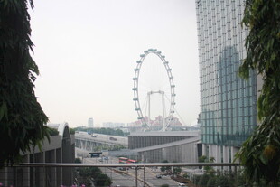 城市中的摩天轮景观