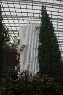 温室中的绿植与白色结构