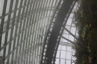 现代建筑内的弧形绿植景观