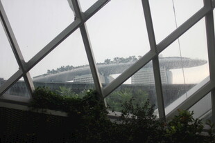 透过玻璃看建筑与绿植