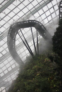 云雾缭绕的温室景观