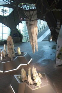 博物馆内的精美化石展品