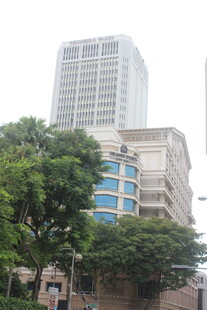 城市中绿树掩映的高楼