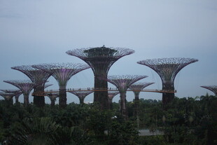 新加坡滨海湾超级树景观