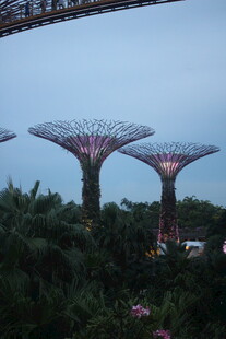 新加坡滨海湾超级树景观