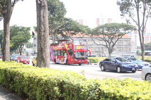 城市街道上的双层观光巴士