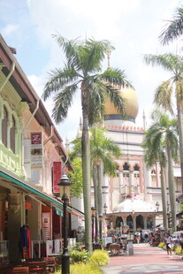 东南亚风情街道与特色建筑