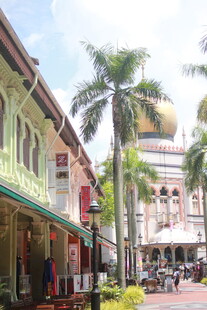 南洋风情街道景观